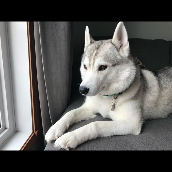 Meet your Posher, Erica - Picture 3 of 5